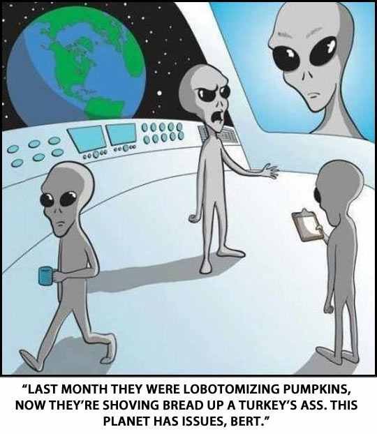earth according to aliens. . LAST THEY WERE PUMPKINS, NOW THEY' RE SHAVING BREAD UP A TURKEY' S ASS. THIS PLANET HAS 1551.! ES. BERT.". Now they're cutting tree's down and decorating the tree's corpse.