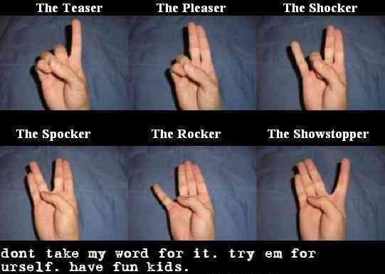 The Teaser The Pleaser The Mocker The Spocker The Rocker The Showstopper de...