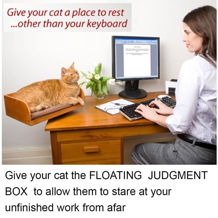 Floating judgment box. . Give your cat a place to rest other than your keyboard Give your cat the FLOATING JUDGMENT BOX to allow them to stare at your unfinishe