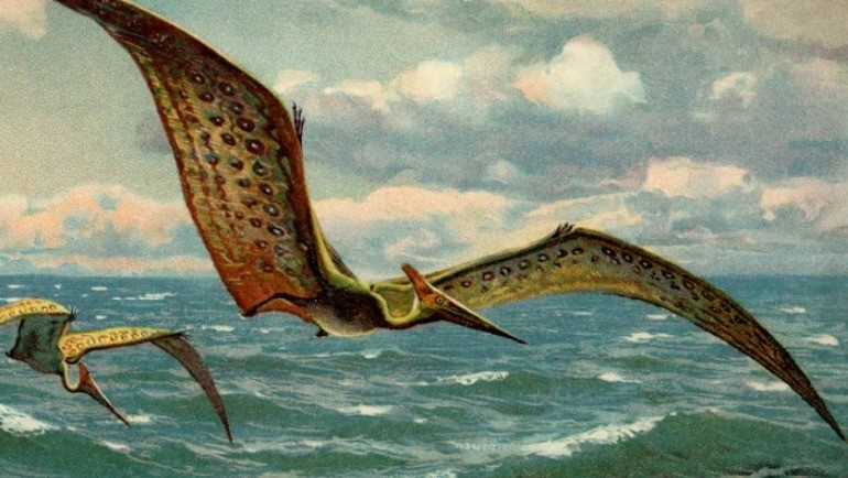flying dino name
