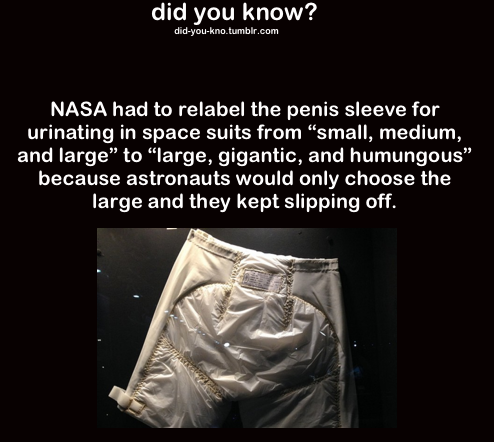 HA!. 13 year olds be like &quot;My D is 8 inch!. did you know? NASA had to relabel the penis sleeve for urinating in space suits from "small, medium, and large"