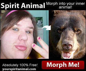HA!. . int; your inner Spirit Animal Mar animal! Absoutely 100% Tree! Morph Mer.. This picture is a insult to the bear!!!!!