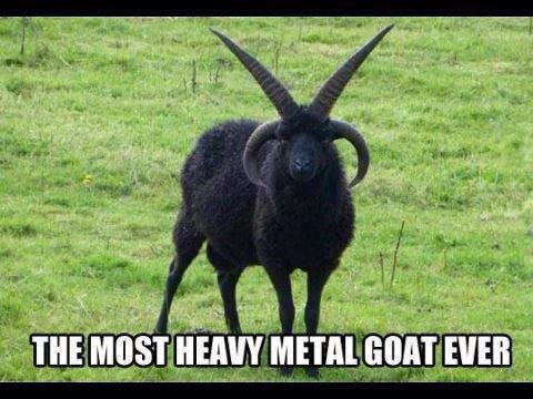 Haaaaiiiilllll Satan!. Anybody seen black sheep? Not the Chris Farley movie, but the one with the sheeple?.. My first thought.