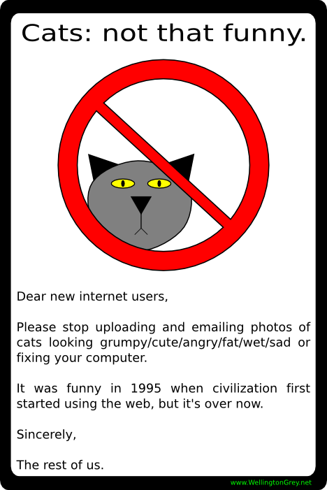 Haha. Haha. Cats: not that funny. Dear new internet users, Please stop uploading and emailing photos of cats looking grumpy/ cute/ angry/ fat/ wet/ sad or fixin