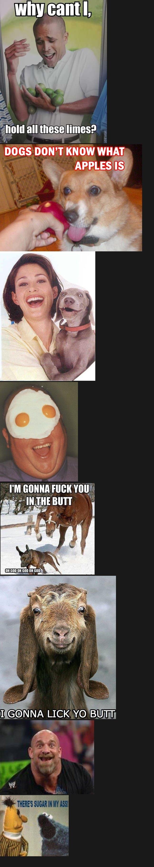 Haha Eggs. lol wut. 3. -hold all thijs%: Itmes? DOGS DON' T KNOW WHAT MT I' M GONNA FUCK. I laughed my ass off at the horse one because it reminded me of this black kid at my school who (jokingly of course) walks up behinds people and whispers in the