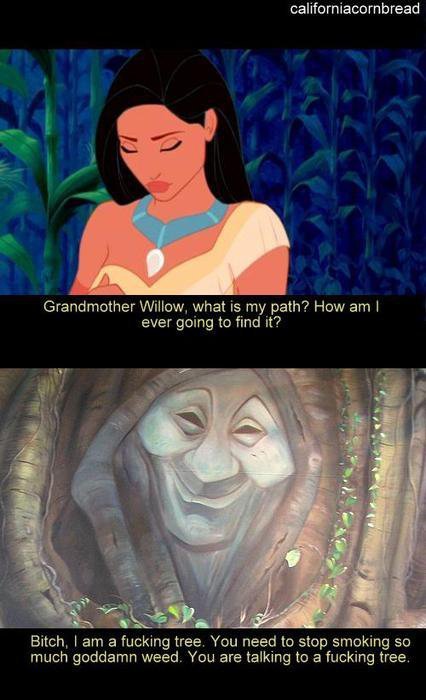 Haha. Sorry if repost. Grandmother Willow. what is my path? How am I ever going to find it? agr, I am a fucking tree. You need to stop smoking so much goddamn w