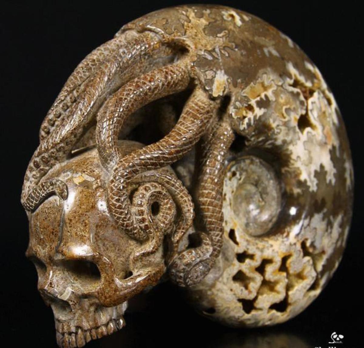 Hand-Carved Skulls Made from Ammonites Fossils. Artist is Skullis(no link I could find).