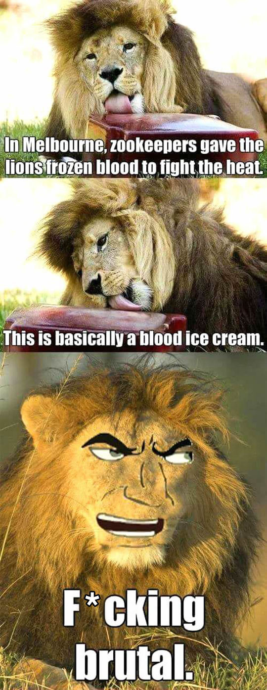 Hardcore zoo. . His is basically a blood ice cream,“. So lions are servants of Khorne? Blood for the blood popsicles.