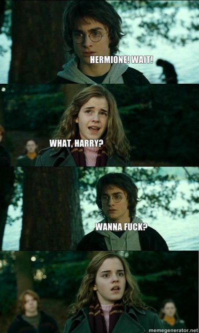 Harry Potter. oc i hope... anyways, enjoy!. WENT.. I like the look on Ginny's face :D