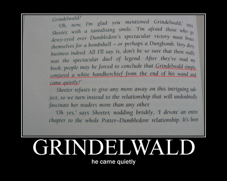 Harry Potter De-motivational. I came across this when i started to re-read &amp;amp;quot;Harry Potter and the Deathly Hallows&amp;amp;quot;. wsih ll , y, smile,