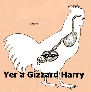 Harry. my take on this...thing&lt;br /&gt; the gizzard is some special organ birds have. i think its like a stomach or something. Yer ', GIZ l Harry. get this to the top! you have my sword!