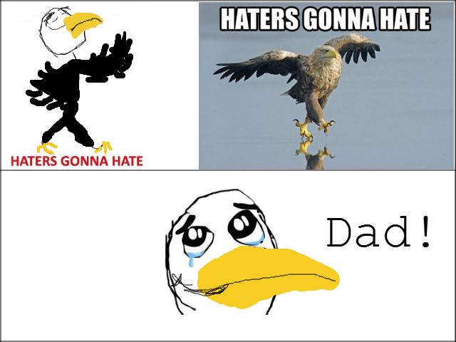Haters gonna hate. OC . iitt HATES HATE HATERS GONNA HATE