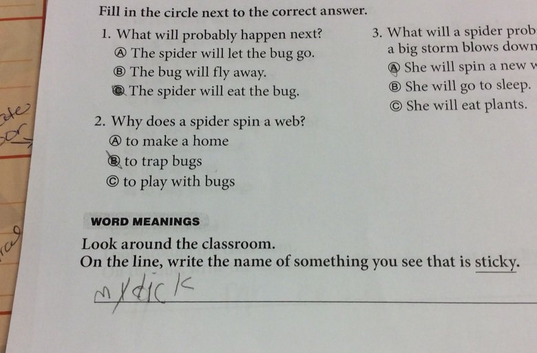He meant "my desk". . Fill in the circle next to the correct answer. 1. What will probably happen next? 3. What will a spider prob G) The spider will let the bu