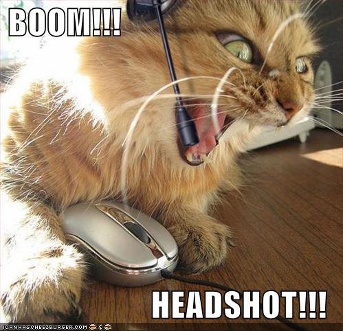 headshot. .. crazy cat is crazy