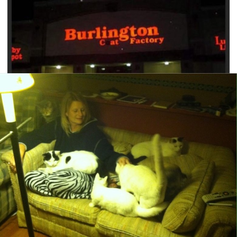 Hello, Burlington Cat Factory. Just a normal night in my house, my mom surrounded by cats... Purrlington. Not even sorry.
