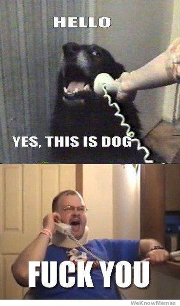 Hello, Dog?. Thought it was hilarious. Sorry if repost!.