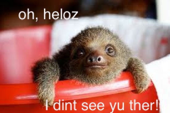 Hello Sloth. . ther!