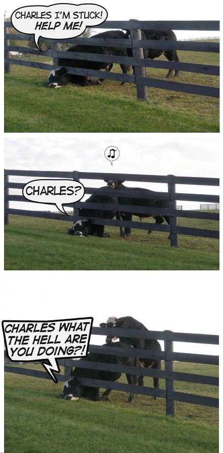 Help me Charles. . ms HELL ARE " ad you