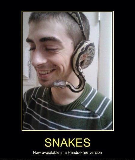 Headsnake. . SNAKES. snakes have always been hands-free