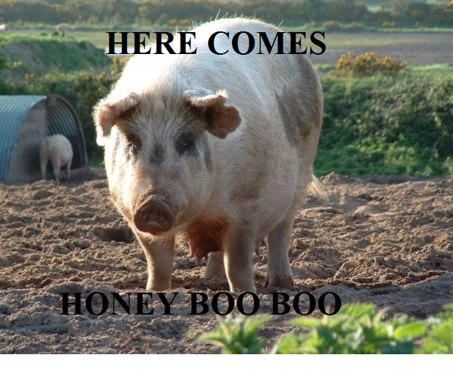 Here comes Honey Boo Boo. gibberish.. If I was the pig I'd be insulted.