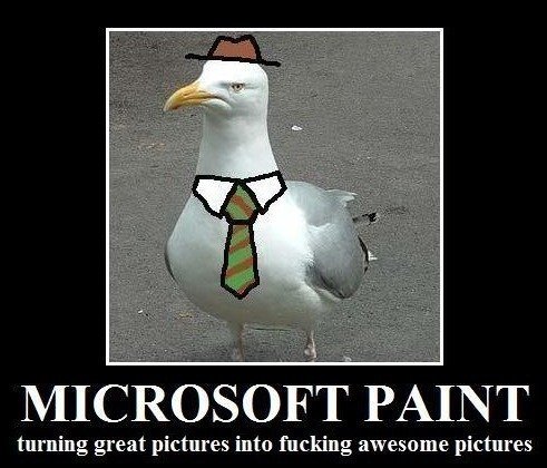 heres a duck. everytime you thumb down god kills a kitten..... and a duck. MICROSOFT PAINT turning great pictures into fucking awesome pictures. thats a seagull....this is a duck