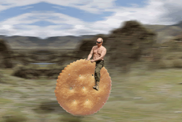 heres a Putin on a cookie. .. I don't even know why I laughed at that o.O But it was the first laugh I got from FJ in ages, so thank you good sir!