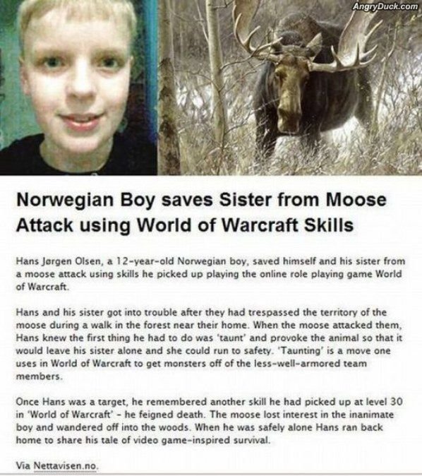 HERO. little wow kid saves sister. Norwegian Boy saves Sister from Moose Attack using World of Warcraft Skills Hans Jargon Olsen, a Norwegian boy. saved himself