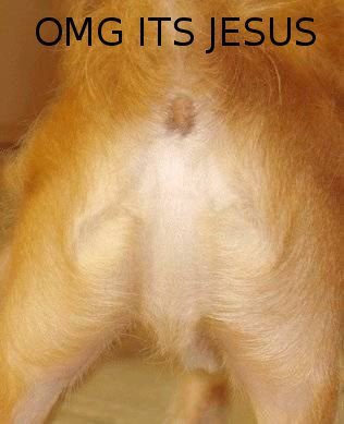 Hidden Jesus!. WTF.. Jesus is an ass