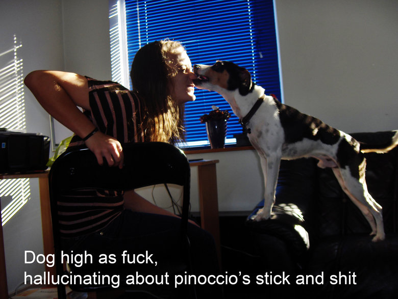 High as . . Dog high as fuck, hallucinating about pinoccio' s stick and shit