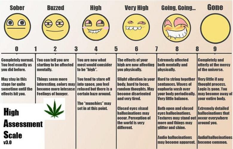 High Asessment scale. If you noticed there were two 8s, congratulations, your brain is working.&lt;br /&gt; I think I got this at Hailmaryjane.com. seller Buzze