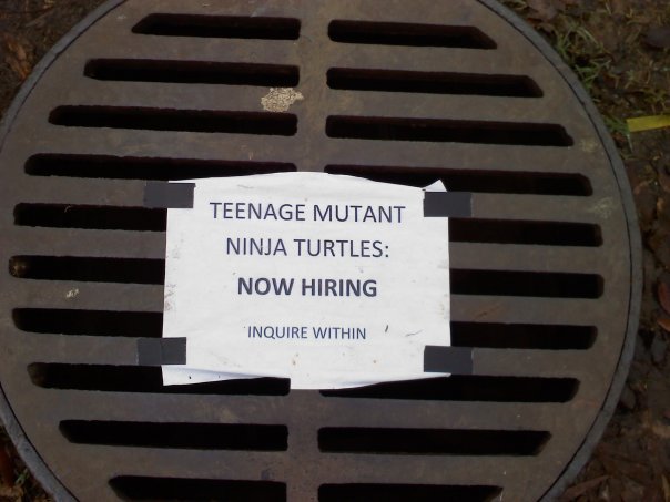 Hiring. ninja turtles. TEENAGE MUTANT NINJA NOW HIRING WITHIN r,. &lt;.&lt; &gt;.&gt; lifts lid and slips under closeing the lid quietly