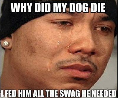 Hispanics and dead dogs. I found this and thought it was so funny. Hope you enjoy it too. ;). WHY BIB MY Dill} DIE LEENI HIM JIU. THE SWAG HE NEWER. i never equated hispanic people with swag