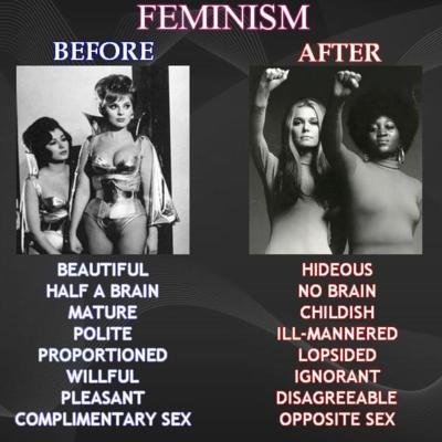 History of Feminism. It's all there in Black &amp; White. FEMINISM BEFORE AFTER rii' BEAUTIFUL HIDEOUS HALF A BRAIN no BRAIN MATURE PILATE LOPSIDED WILLFUL PLEA