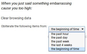 Homemade. Lol. When you Just said something embarrassing cause you too high: Clear browsing data obliterate the following items from: the beginning at time _ th