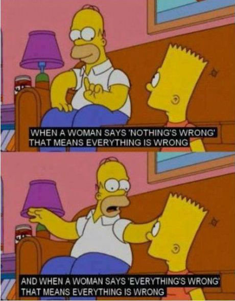 Homer Being Homer. Women.... f' THAT MEANS EVERYTHING IS WHO: -JG g' ANC) WHEN A ' SAYS 'EVERYTHING/ S; THAT MEANS EVER/ THING IS ARING “" ". Actually, when they say &quot;everything is wrong&quot;, it's something small like &quot;the TV isn't working.&quot;
