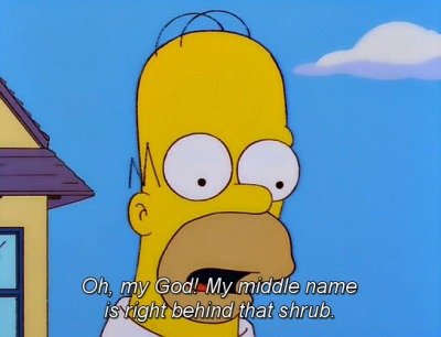 Homer J. Simpson. . itll 'i' shrub.. Season 10 - Episode 6, &quot;D'oh-in' in the Wind&quot;