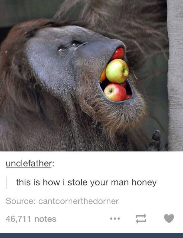 Homewrekt. . this is how i stole your man honey Source: % lrlrl. By eating apples?