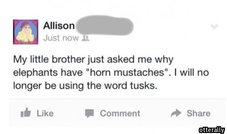 horn mustaches. . My time brother just asked me why elephants have "horn ''. I will no longer be using the word tusks. d, Like I Comment If Share amrica,. &lt; This