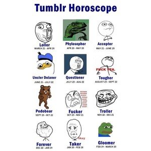 Horoscopes. I don't know if this is a repost but here ya go. Sorry if it's small. Tumblr. I'm a questioner, almost tougher.