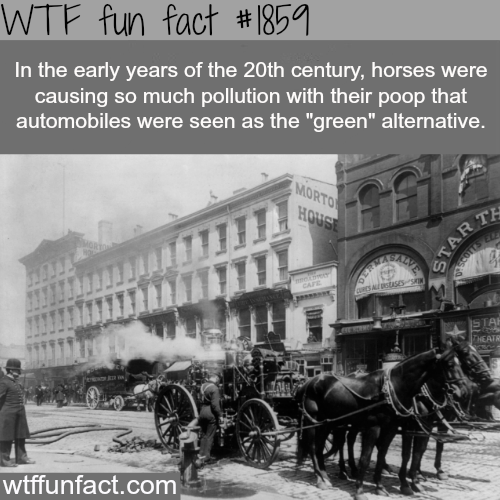 Horse . . In the early years of the 20th century, horses were causing so much pollution with their peep that automobiles were seen as the "green" alternative,. Just a clarification. Because there was poop all around the place, not related to 21st century understanding of 'green'