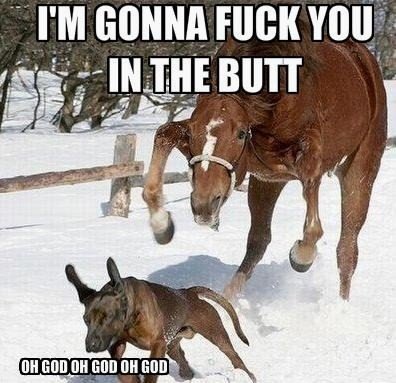 Horse rape. I always crack up when i see this pic.