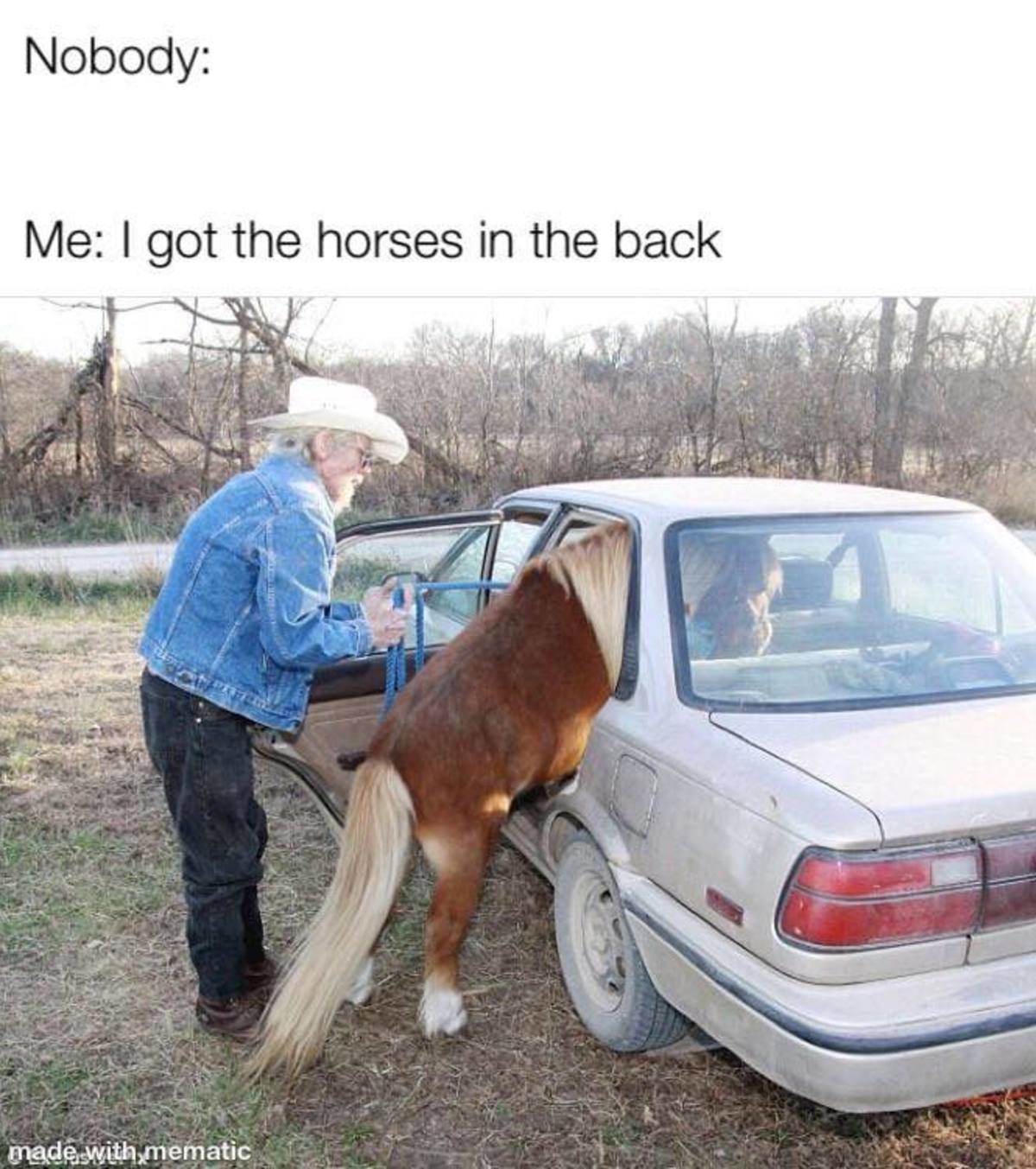 horsey. .. god i hate that song of course it got taken off the country charts did anyone even listen to it i swear billy ray cyrus was like &quot;lets make this meme a rea