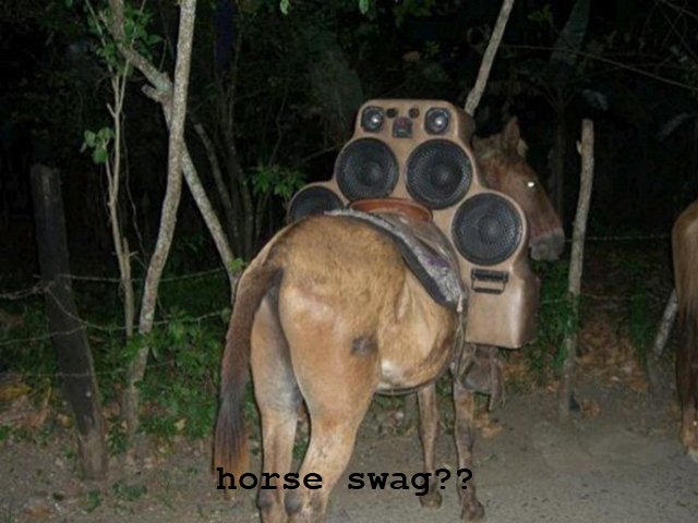 horsie swag. .. Correction my friend, that would be &quot;Dope Ass Swag&quot;