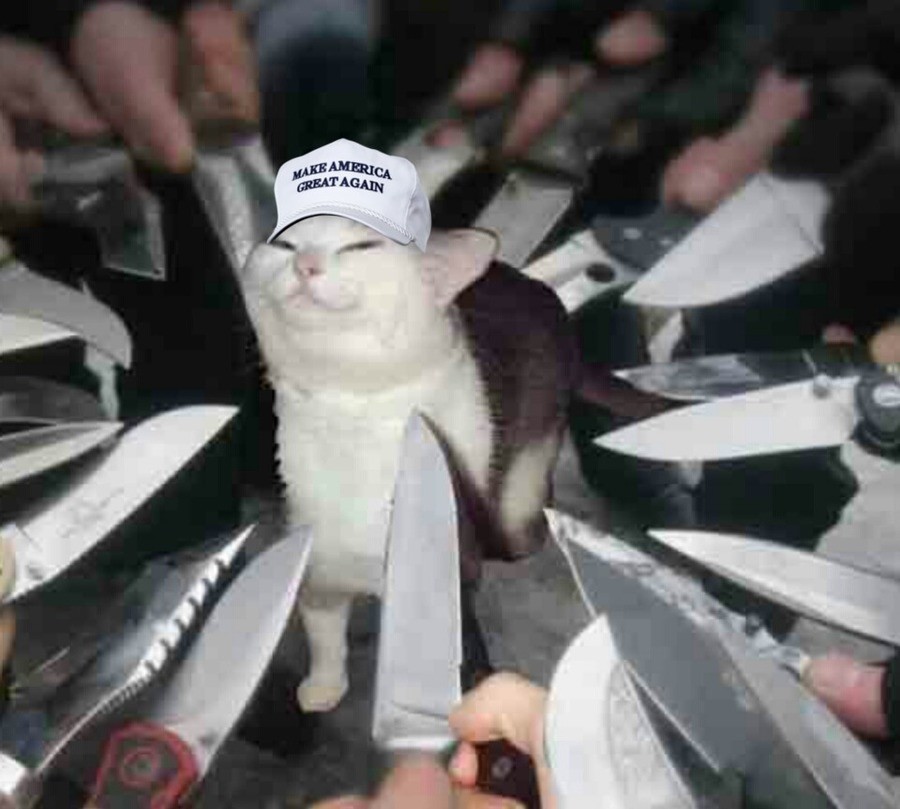 how it feels to be a trump supporter. I wear mine all the time but so far nobody has said anything. Sometimes the people will have a scared look on their face l