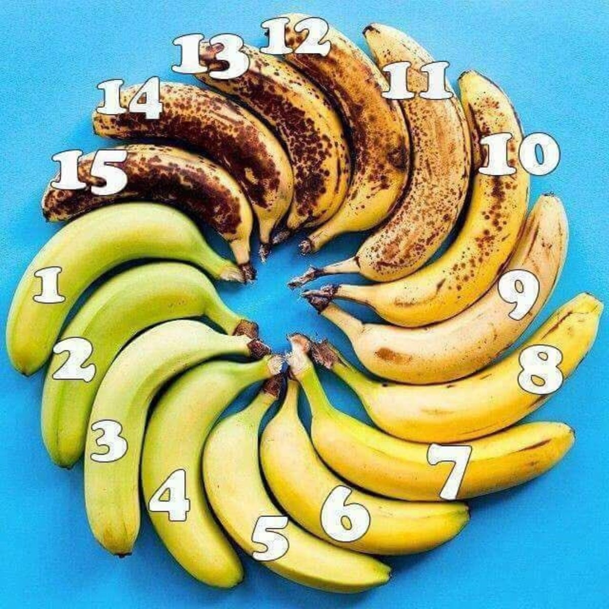 how ripe is your banana (͡° ͜ʖ ͡°). .. New Alt-Right hate symbol: the 15 spoke banana swastikaComment edited at .