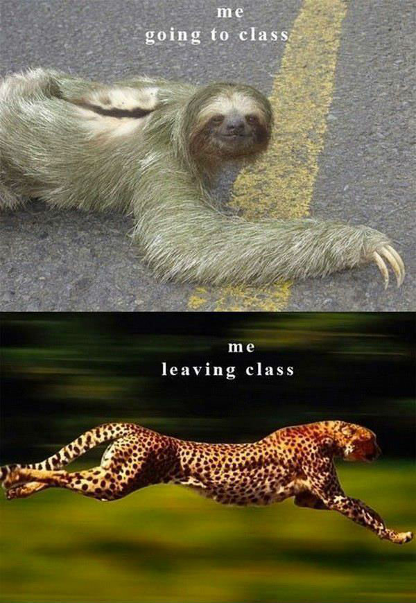 How School Works. this is every morning and every time i go home. leaving class
