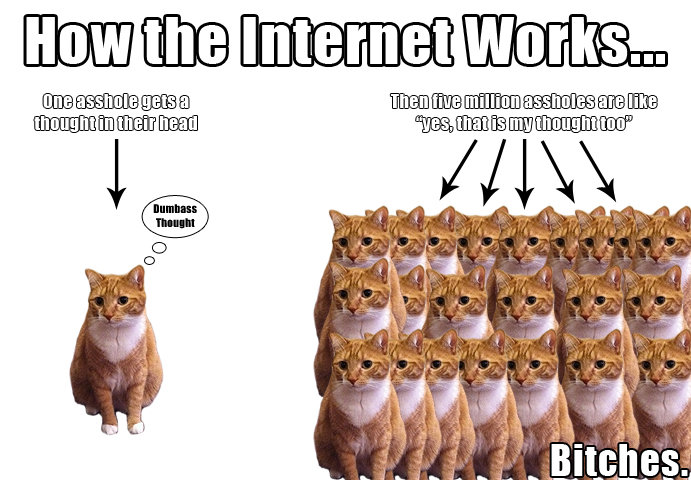 How the Internet Works. Mylo the Cat explains how the internet works..