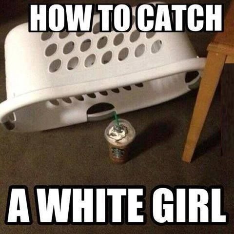 How to catch a white girl. Look up DCE at vid.me. AMIRITE Ell“