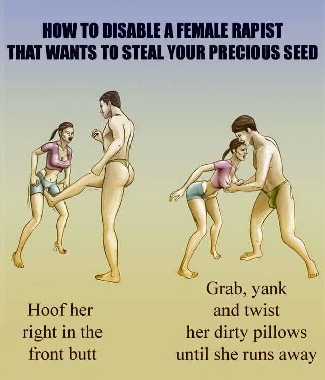 How to disable a Female Rapist. . THAT WANTS TI] STEM VIII"! SEED Grab, yank and twist her dirty pillows until she runs away. Precious Seed is mine!