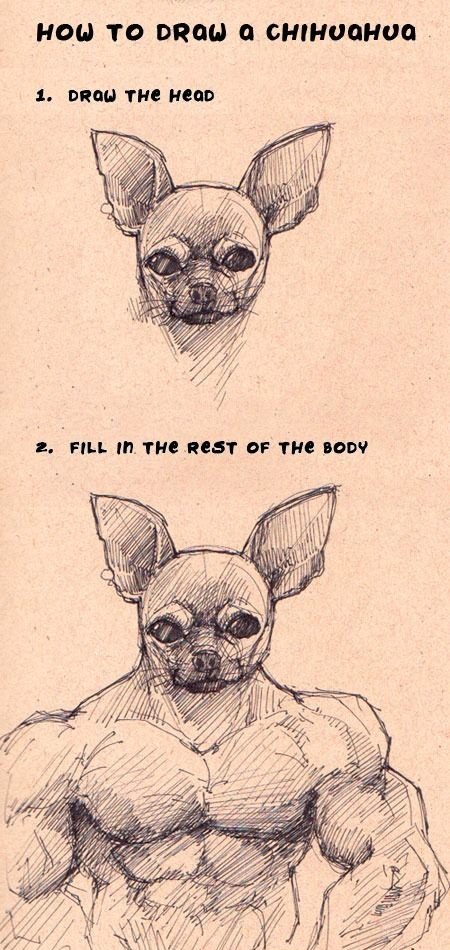How To Draw A Chihuahua. no more five words. HOB TO DREW! -. Saiyan dog